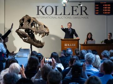 Trinity the T-Rex claws in more than $6 million at auction